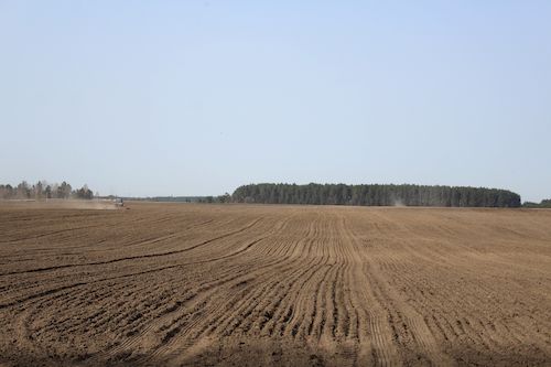 Карачевские аграрии приступили к севу яровой пшеницы
